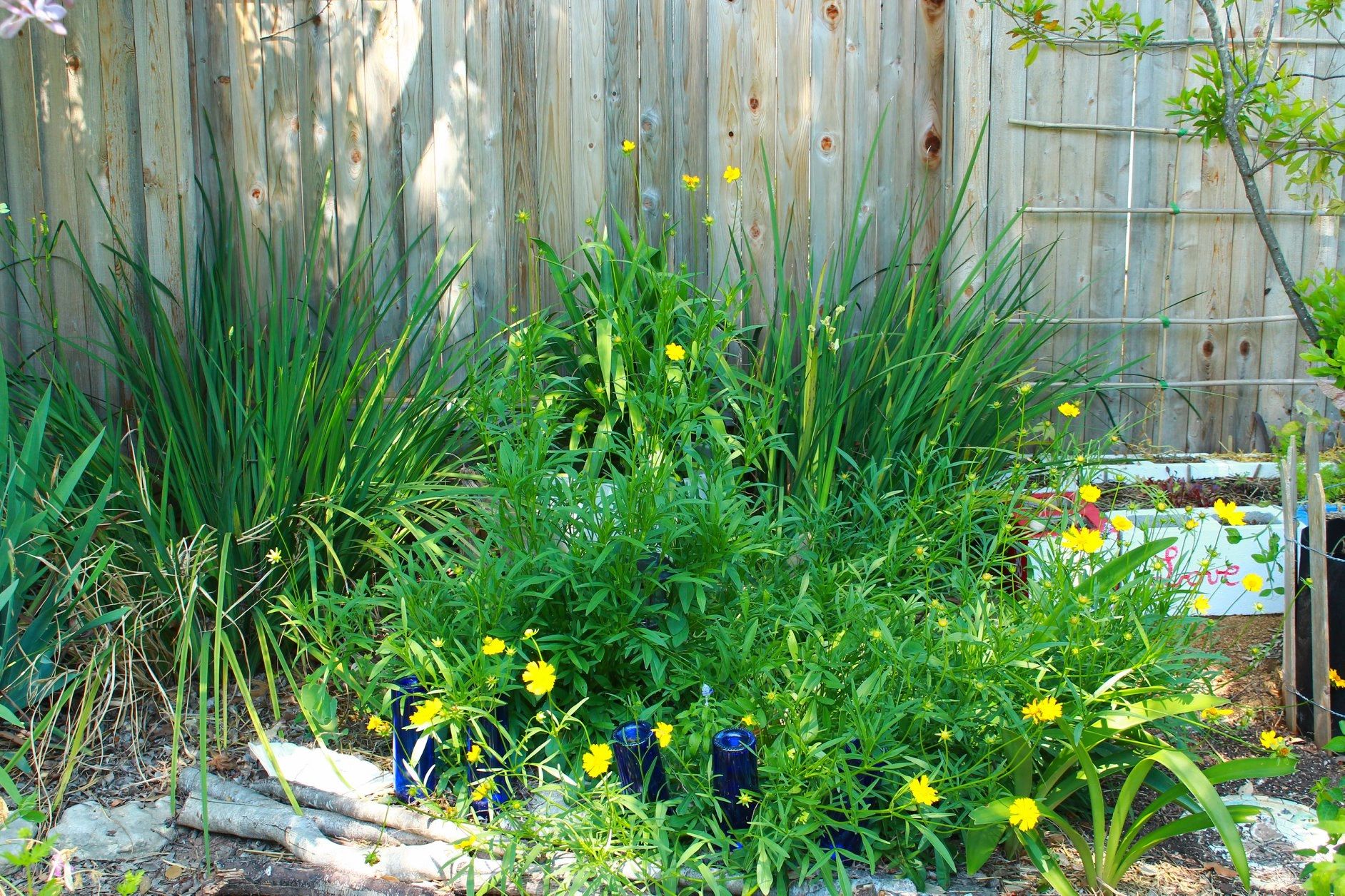 Membership membership